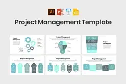 Project Management Infographics