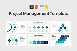 Project Management Infographics Template